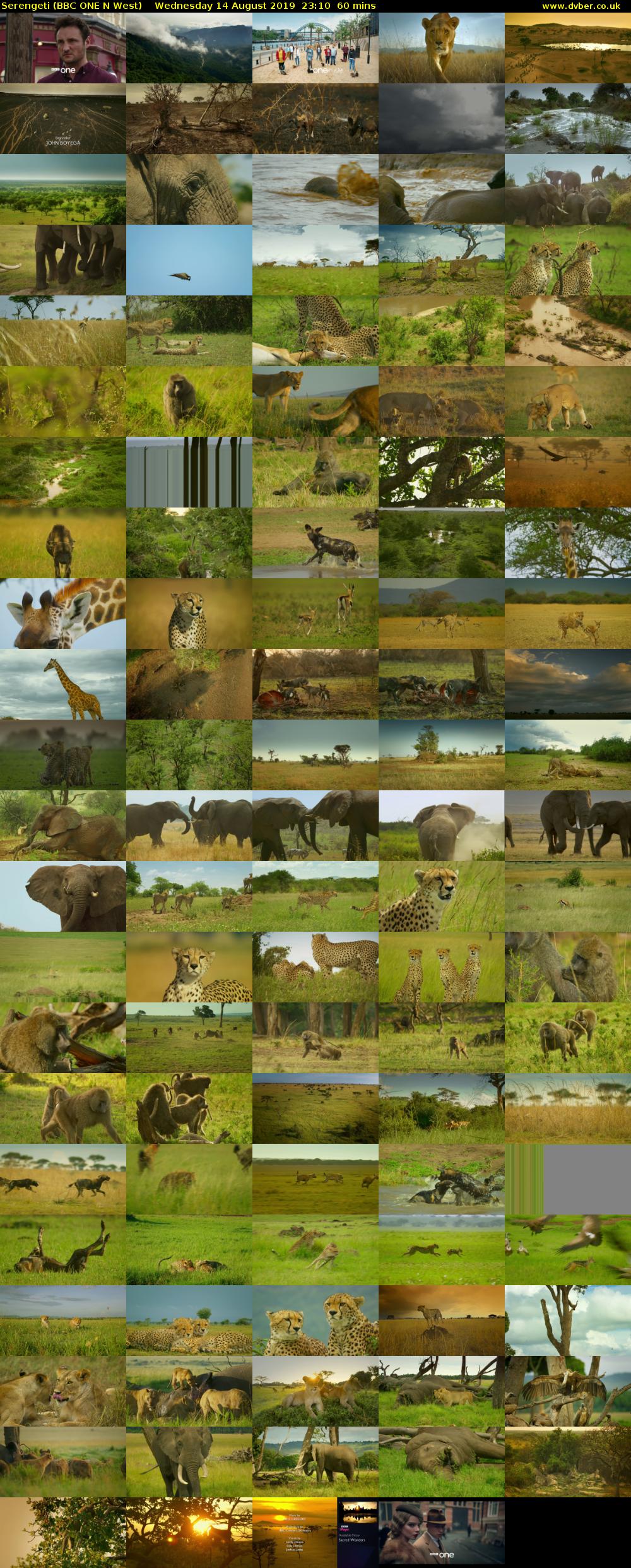 Serengeti (BBC ONE N West) Wednesday 14 August 2019 23:10 - 00:10