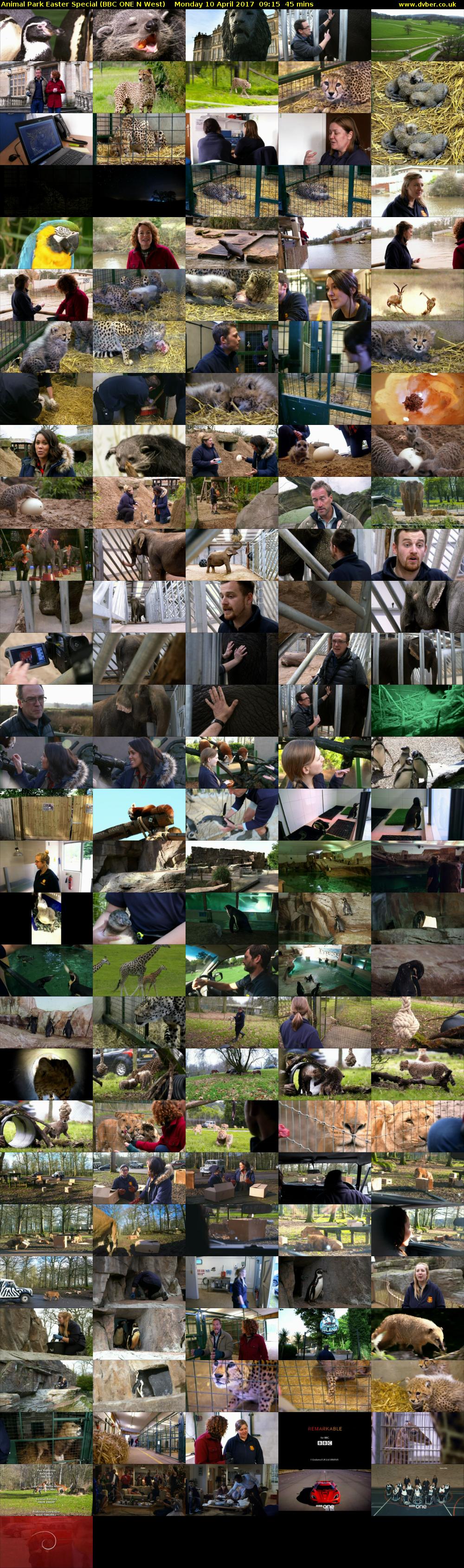 Animal Park Easter Special (BBC ONE N West) Monday 10 April 2017 09:15 - 10:00