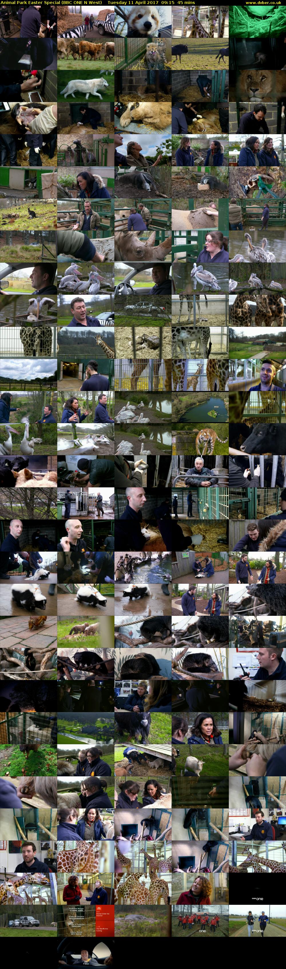 Animal Park Easter Special (BBC ONE N West) Tuesday 11 April 2017 09:15 - 10:00