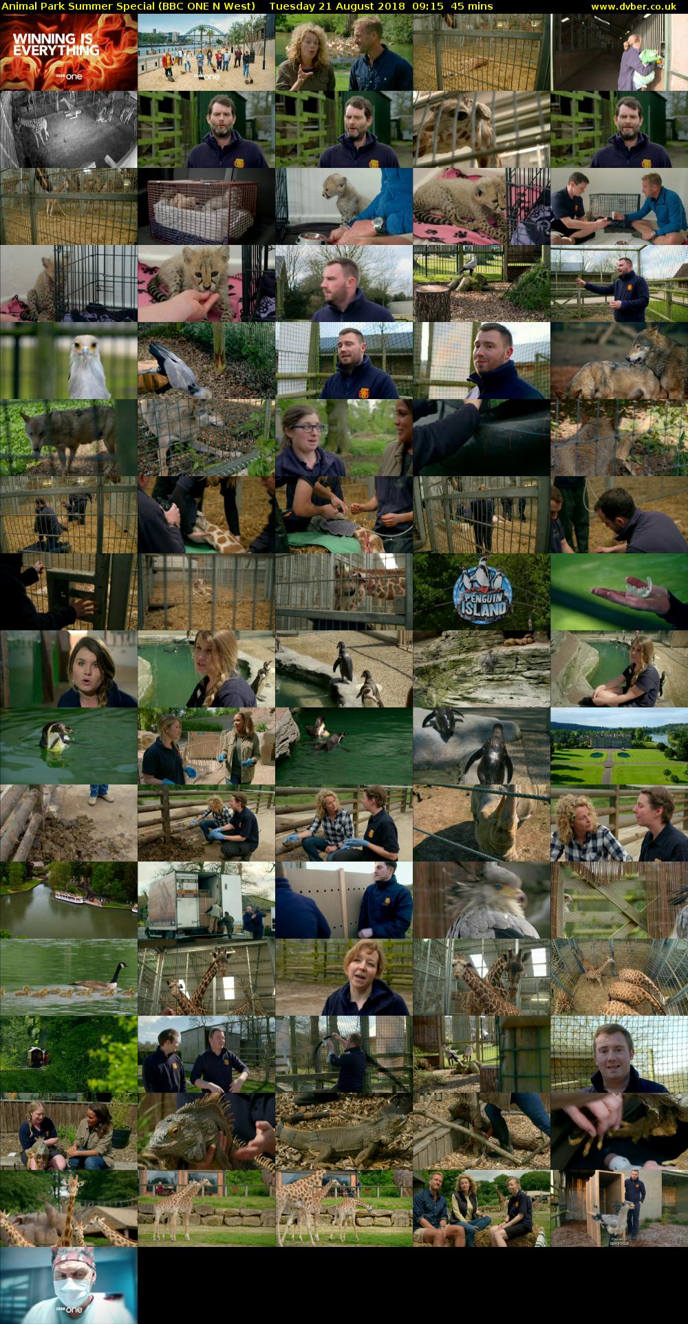 Animal Park Summer Special (BBC ONE N West) Tuesday 21 August 2018 09:15 - 10:00
