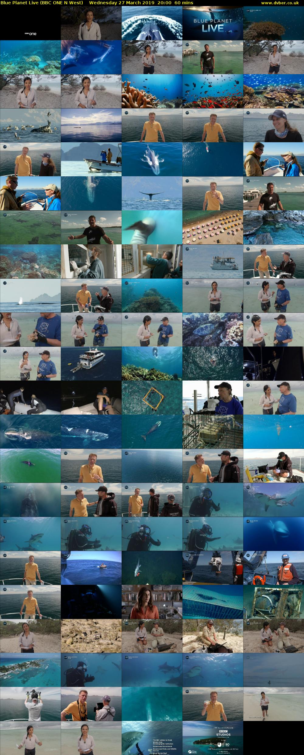 Blue Planet Live (BBC ONE N West) Wednesday 27 March 2019 20:00 - 21:00