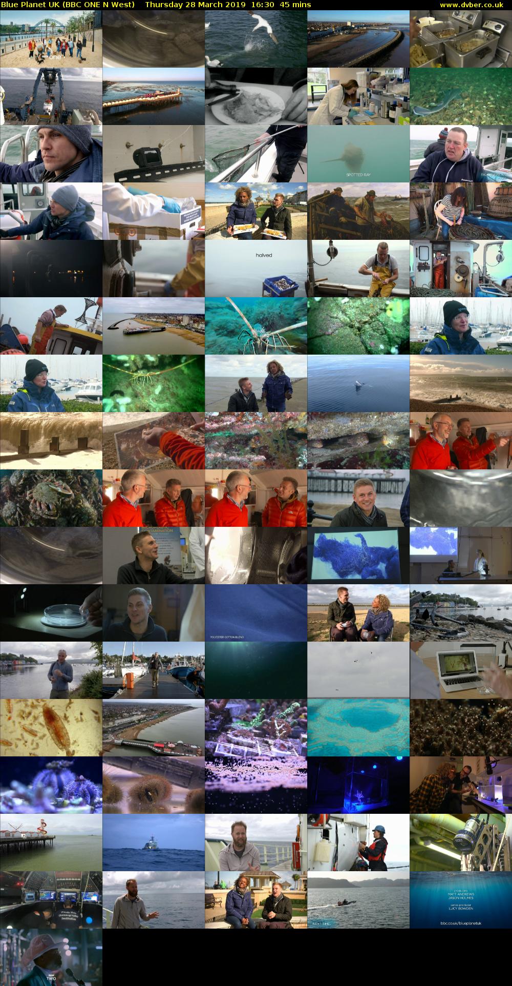 Blue Planet UK (BBC ONE N West) Thursday 28 March 2019 16:30 - 17:15