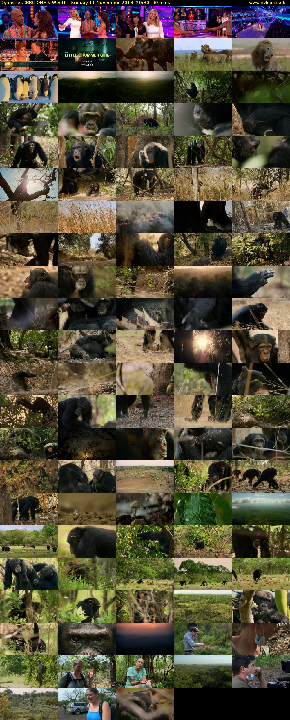 Dynasties (BBC ONE N West) Sunday 11 November 2018 20:30 - 21:30