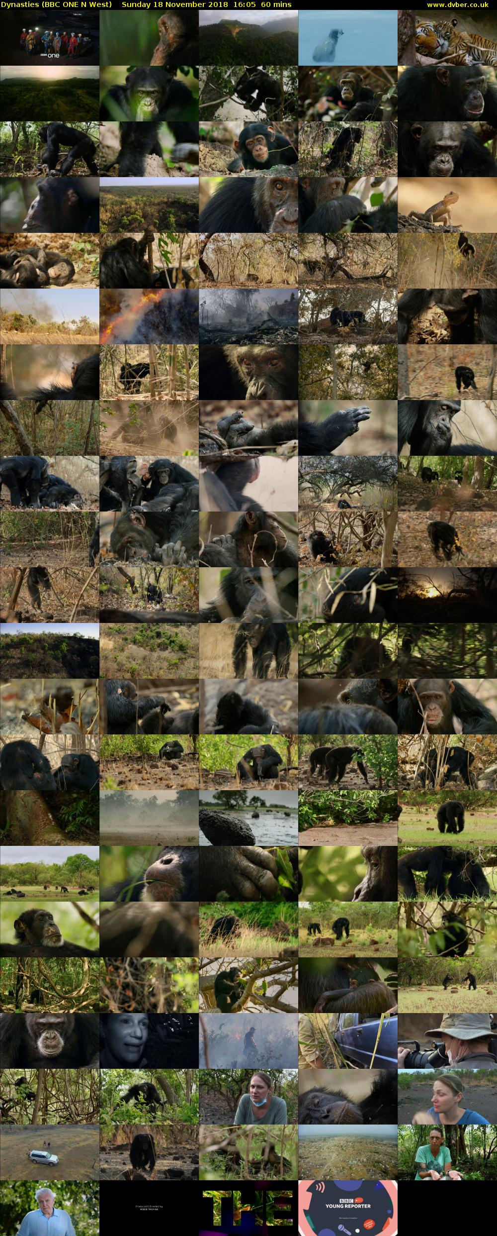 Dynasties (BBC ONE N West) Sunday 18 November 2018 16:05 - 17:05