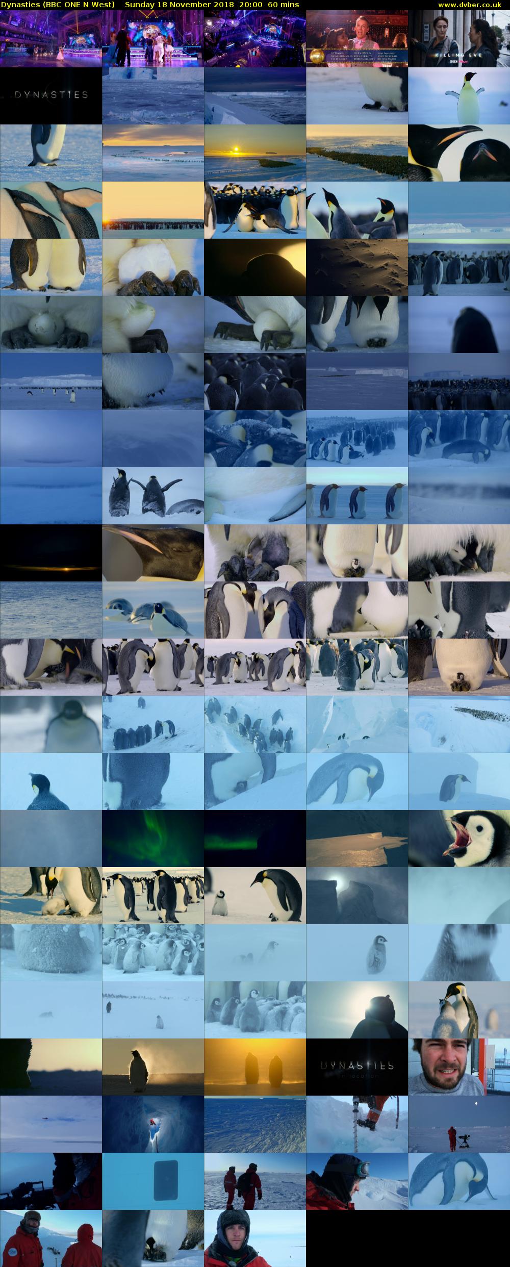 Dynasties (BBC ONE N West) Sunday 18 November 2018 20:00 - 21:00