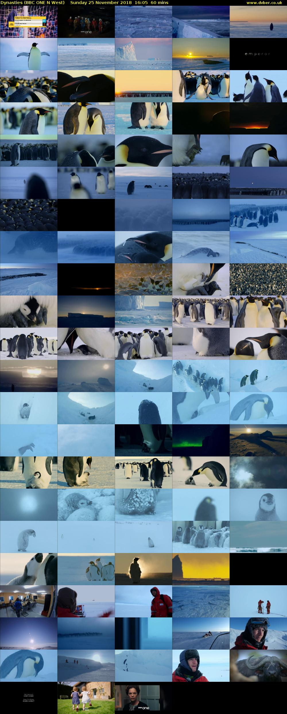 Dynasties (BBC ONE N West) Sunday 25 November 2018 16:05 - 17:05