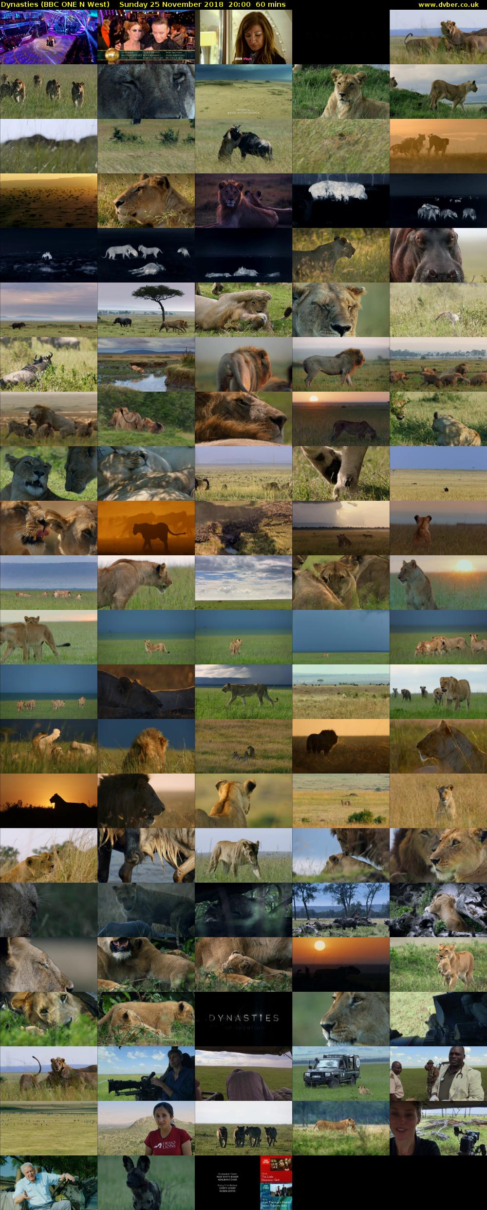 Dynasties (BBC ONE N West) Sunday 25 November 2018 20:00 - 21:00