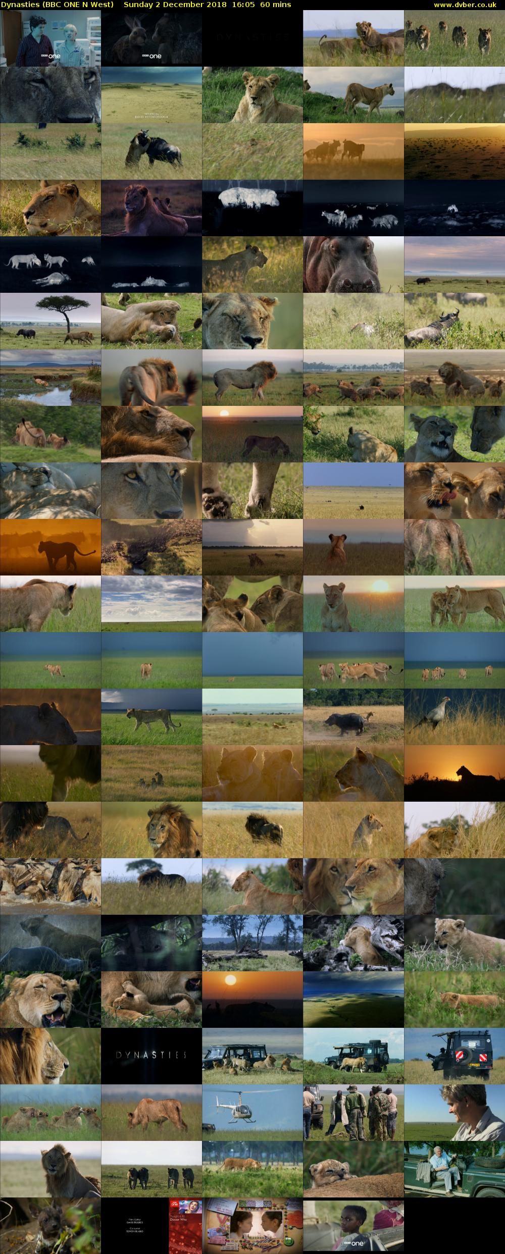 Dynasties (BBC ONE N West) Sunday 2 December 2018 16:05 - 17:05