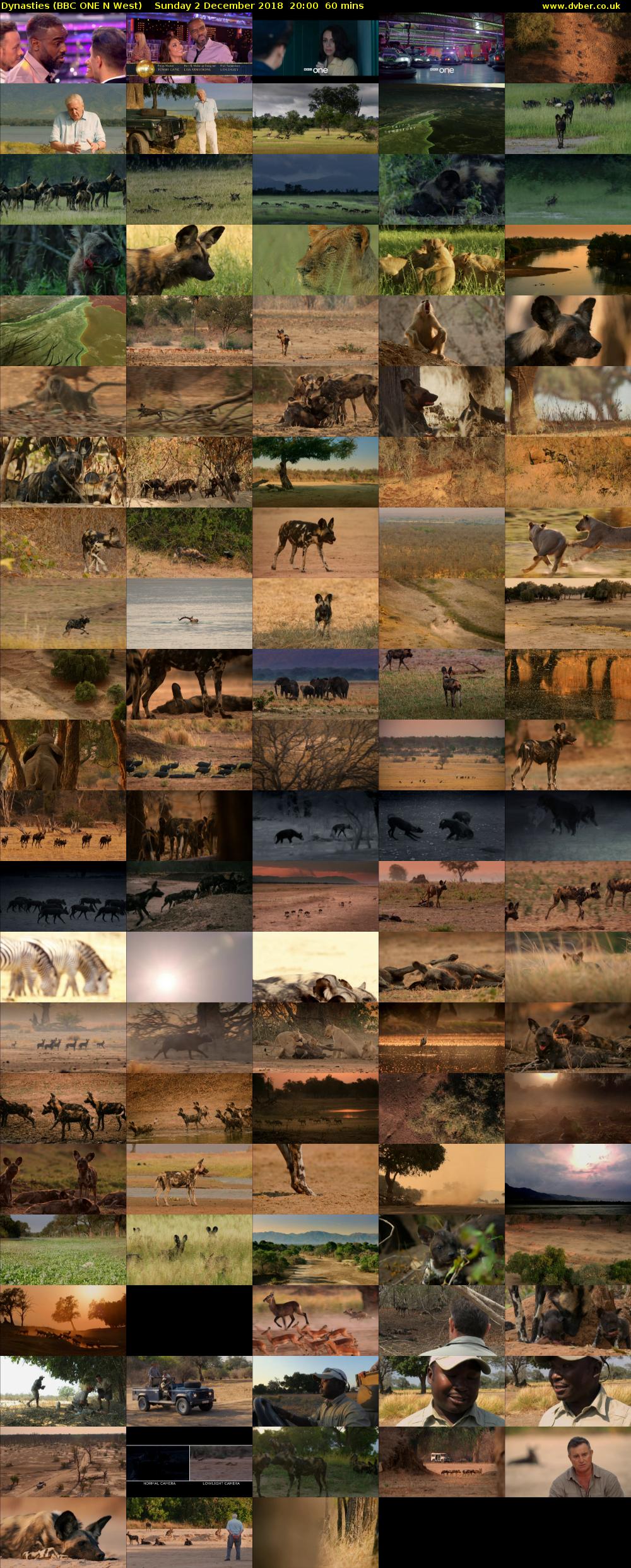 Dynasties (BBC ONE N West) Sunday 2 December 2018 20:00 - 21:00