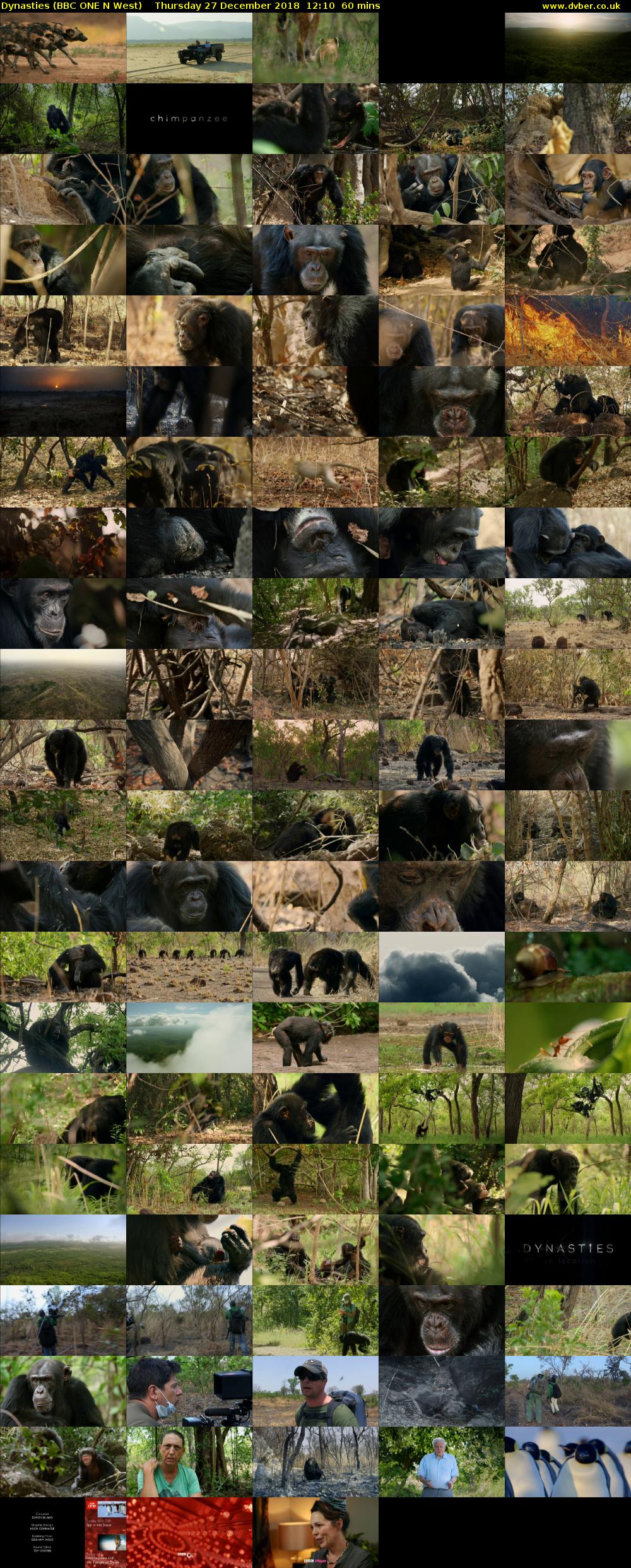 Dynasties (BBC ONE N West) Thursday 27 December 2018 12:10 - 13:10