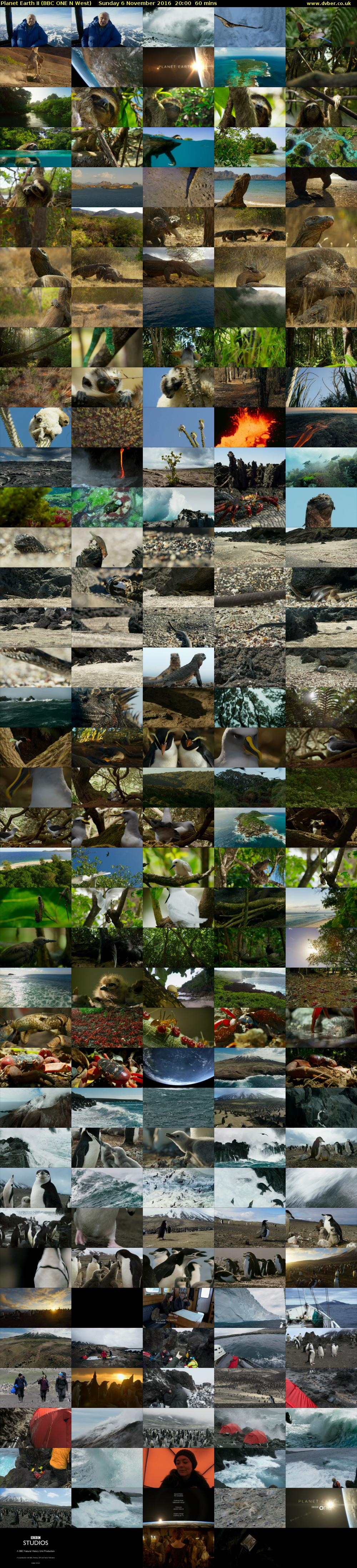 Planet Earth II (BBC ONE N West) Sunday 6 November 2016 20:00 - 21:00
