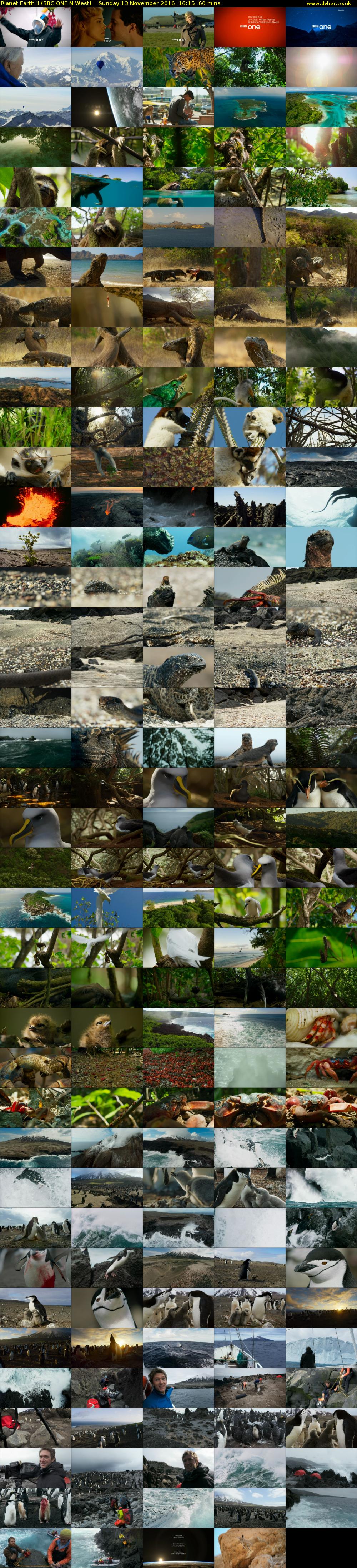 Planet Earth II (BBC ONE N West) Sunday 13 November 2016 16:15 - 17:15