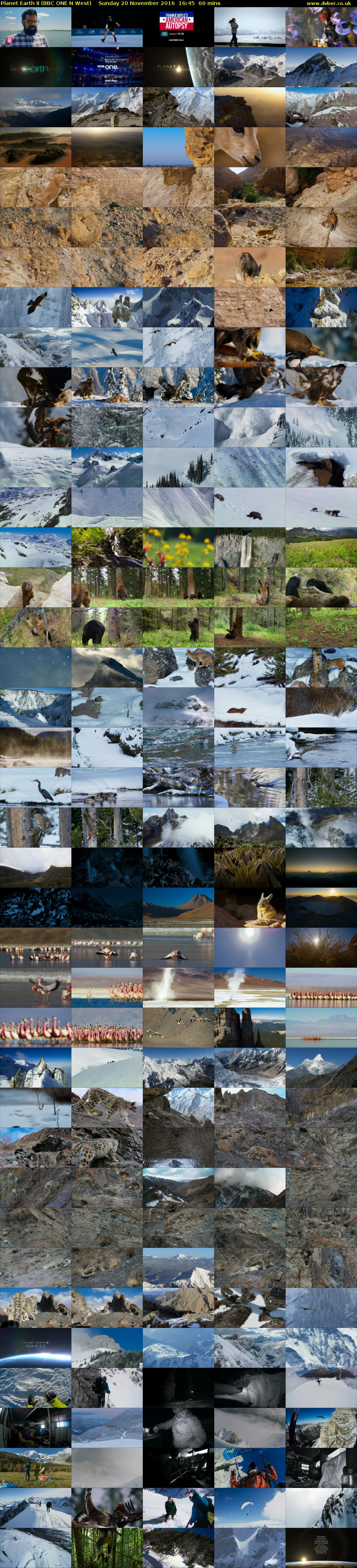 Planet Earth II (BBC ONE N West) Sunday 20 November 2016 16:45 - 17:45