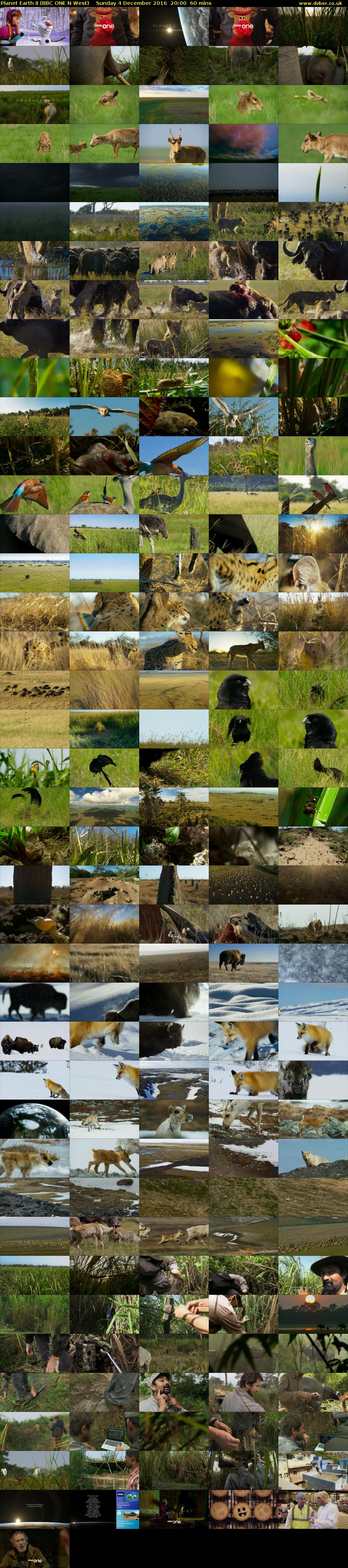 Planet Earth II (BBC ONE N West) Sunday 4 December 2016 20:00 - 21:00