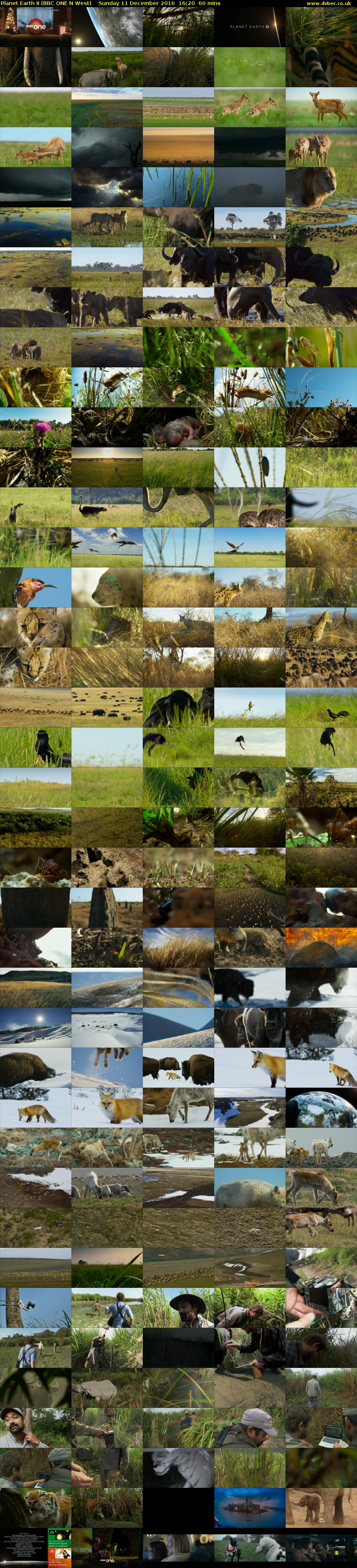 Planet Earth II (BBC ONE N West) Sunday 11 December 2016 16:20 - 17:20