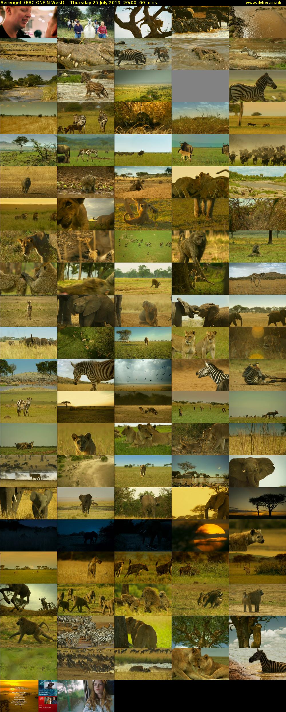 Serengeti (BBC ONE N West) Thursday 25 July 2019 20:00 - 21:00