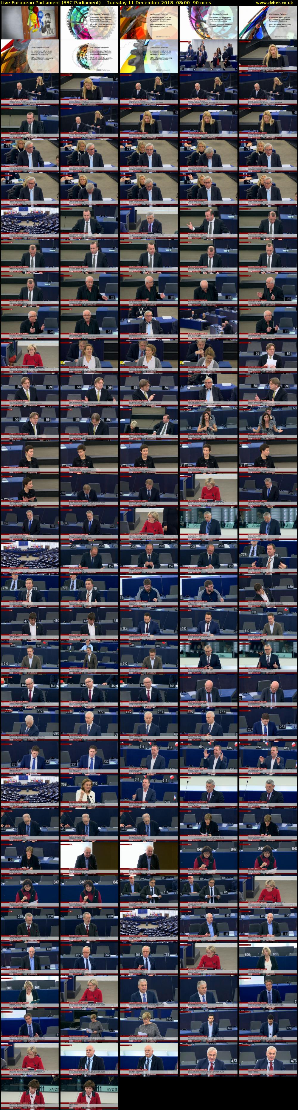 Live European Parliament (BBC Parliament) Tuesday 11 December 2018 08:00 - 09:30