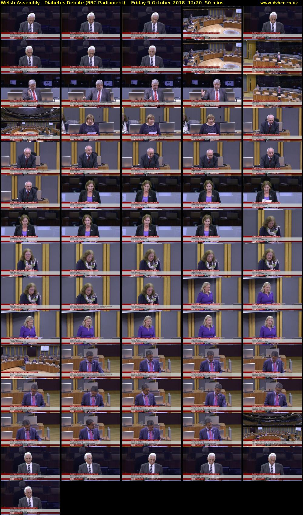 Welsh Assembly - Diabetes Debate (BBC Parliament) Friday 5 October 2018 12:20 - 13:10