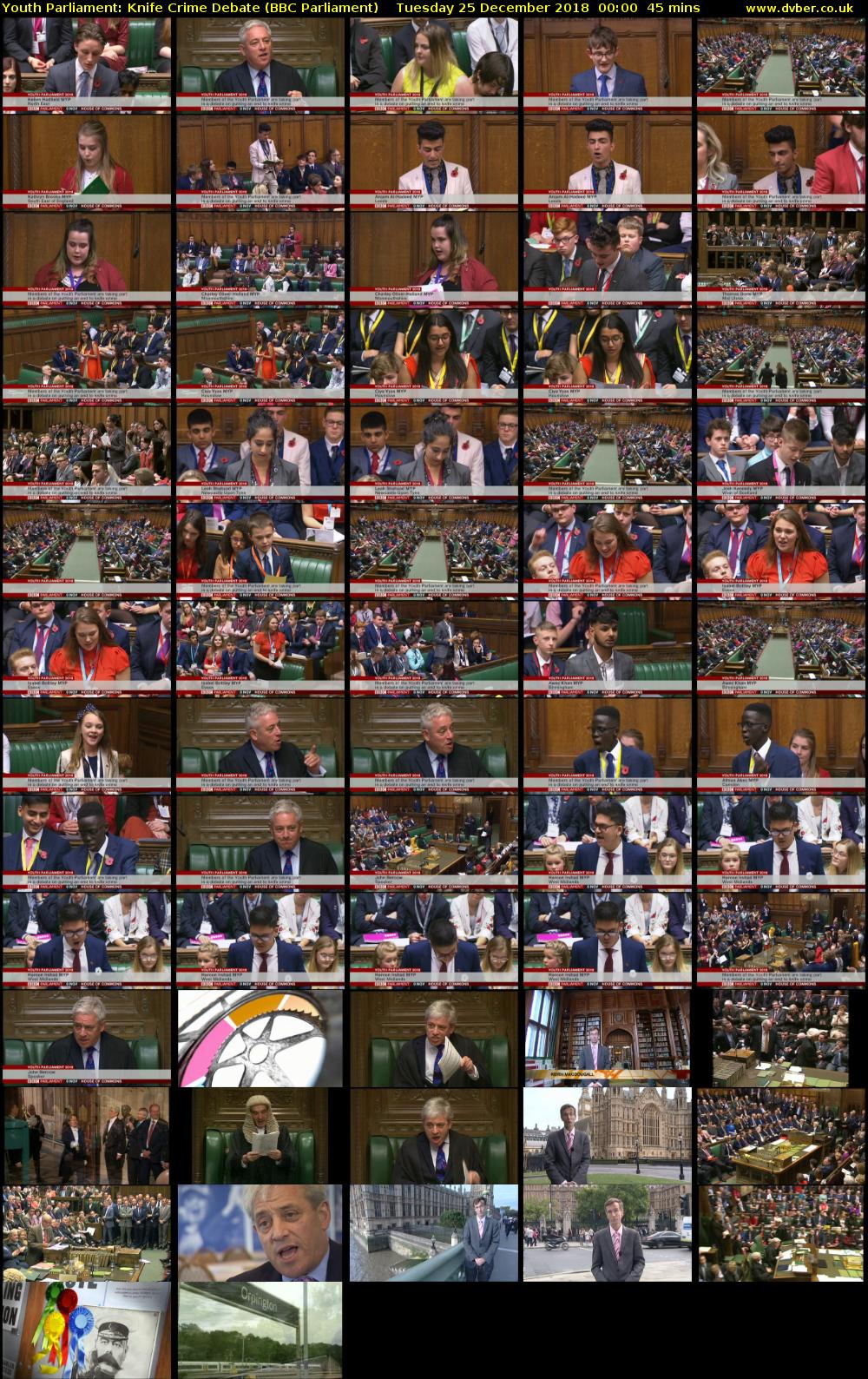 Youth Parliament: Knife Crime Debate (BBC Parliament) Tuesday 25 December 2018 00:00 - 00:45