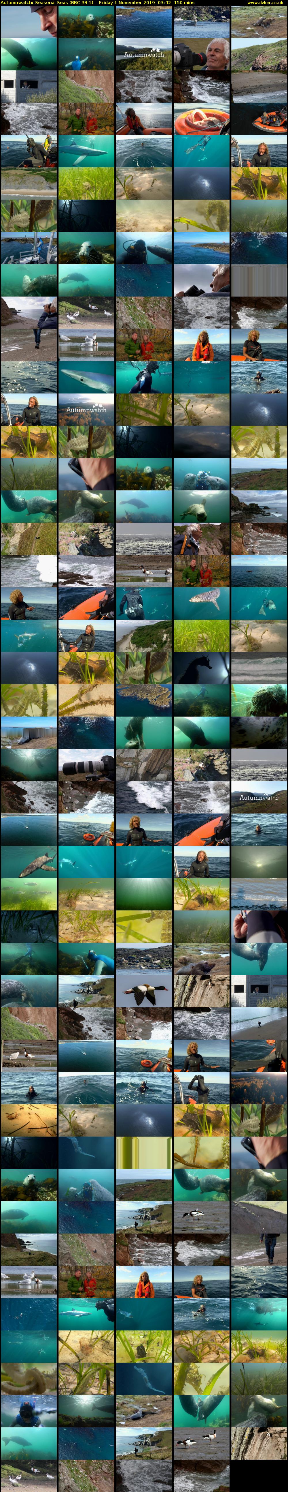 Autumnwatch: Seasonal Seas (BBC RB 1) Friday 1 November 2019 03:42 - 06:12