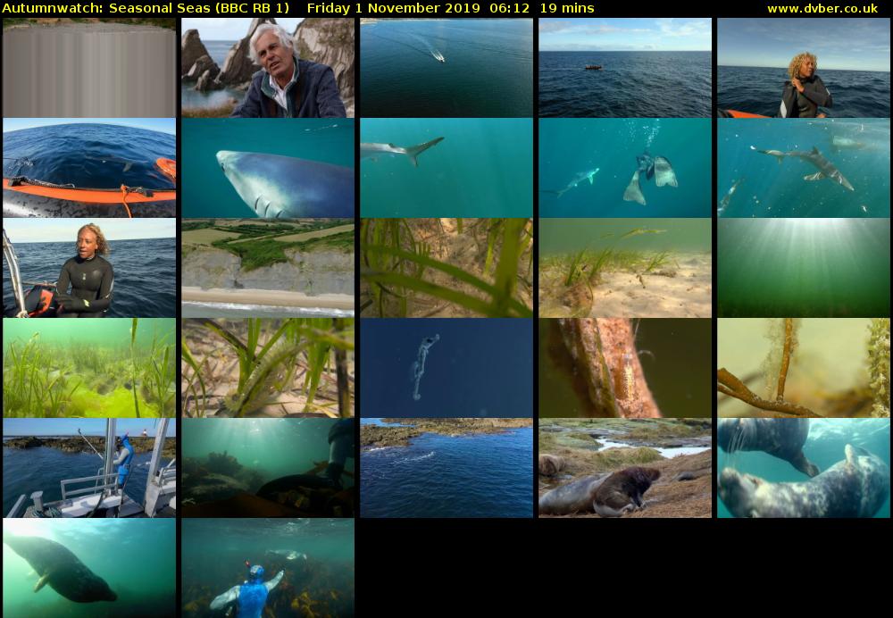 Autumnwatch: Seasonal Seas (BBC RB 1) Friday 1 November 2019 06:12 - 06:31