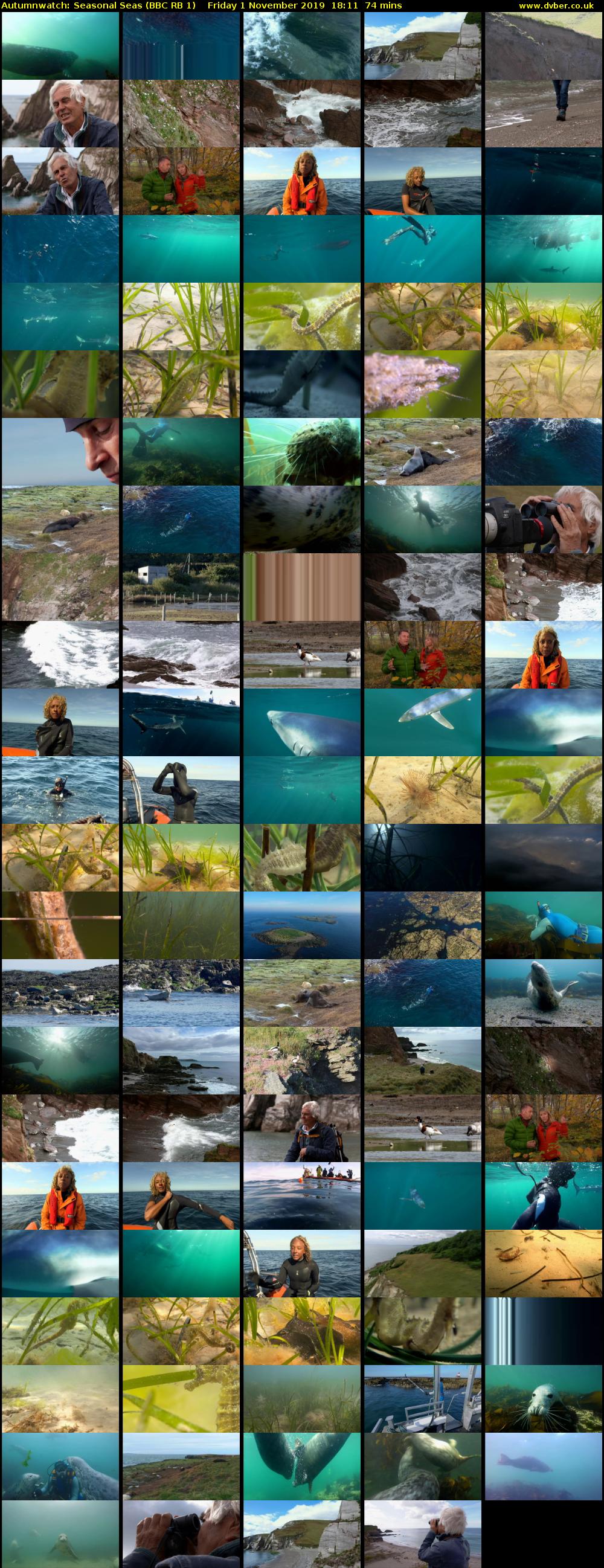 Autumnwatch: Seasonal Seas (BBC RB 1) Friday 1 November 2019 18:11 - 19:25