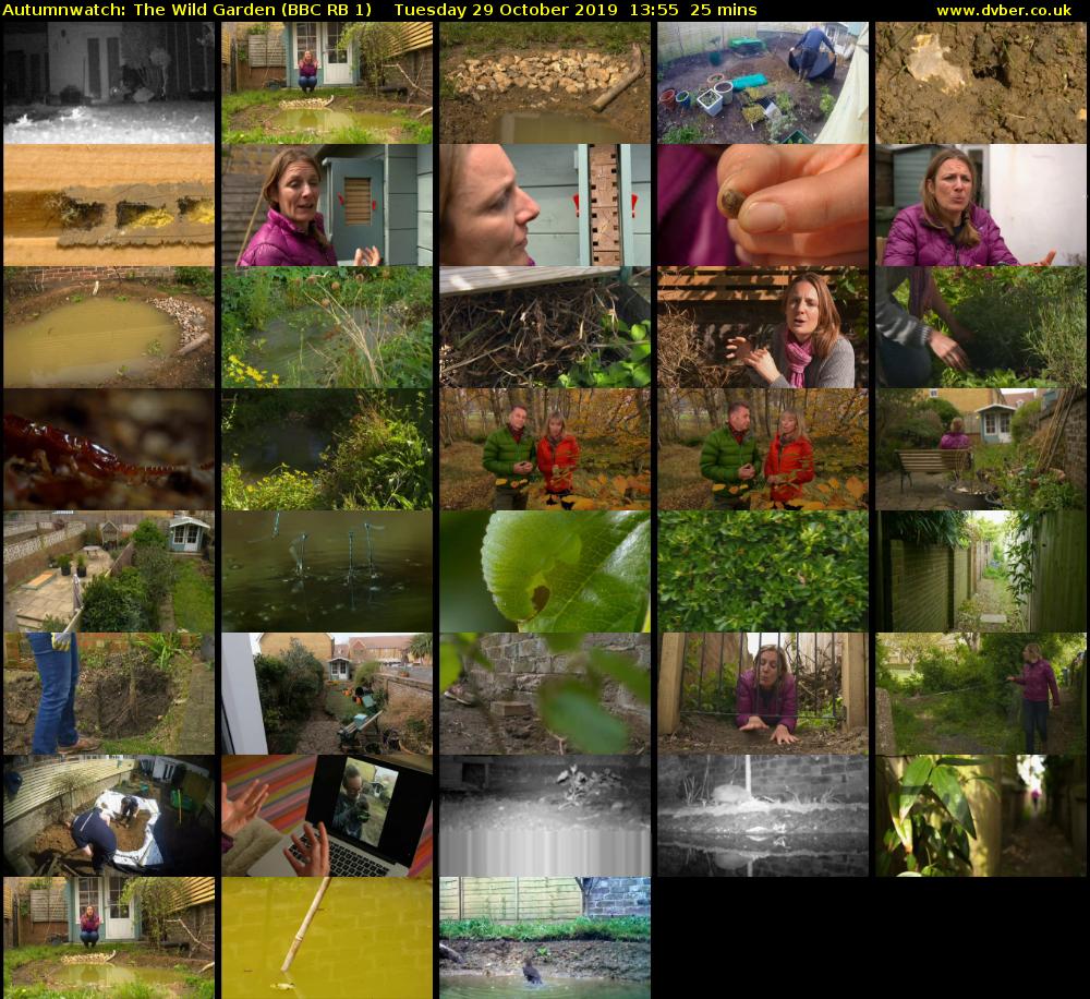 Autumnwatch: The Wild Garden (BBC RB 1) Tuesday 29 October 2019 13:55 - 14:20