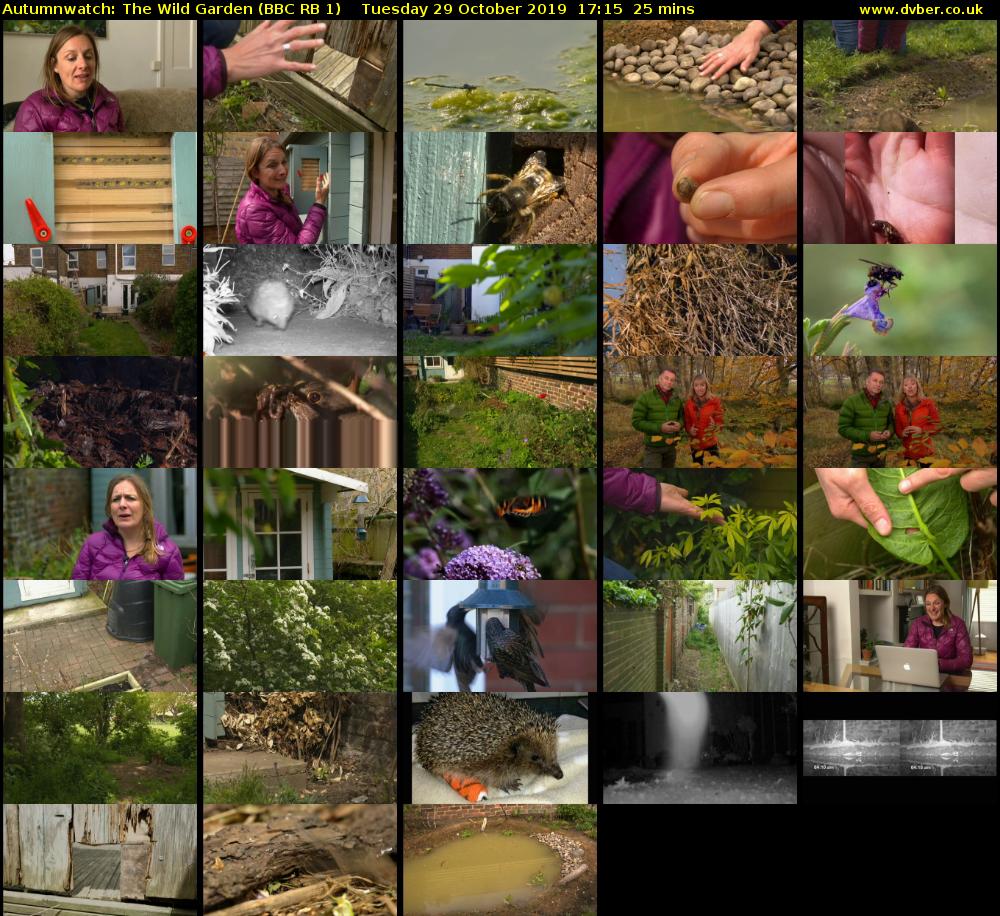 Autumnwatch: The Wild Garden (BBC RB 1) Tuesday 29 October 2019 17:15 - 17:40