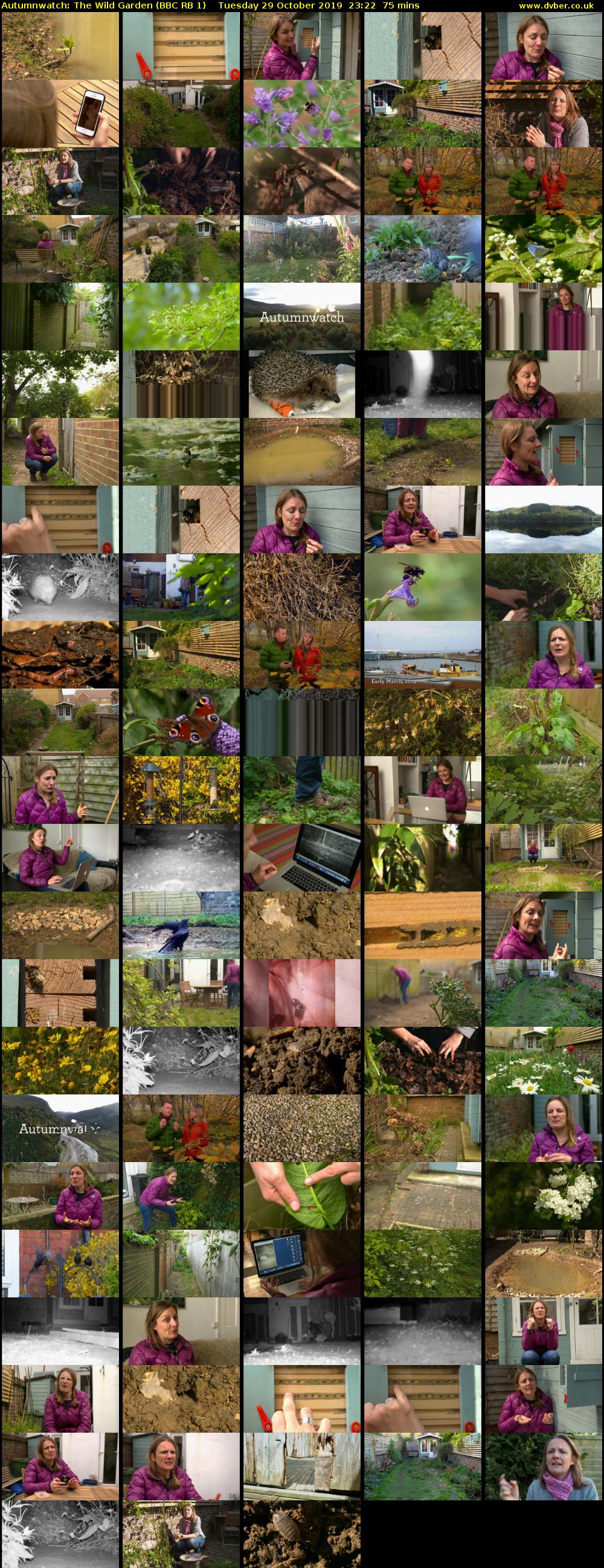 Autumnwatch: The Wild Garden (BBC RB 1) Tuesday 29 October 2019 23:22 - 00:37