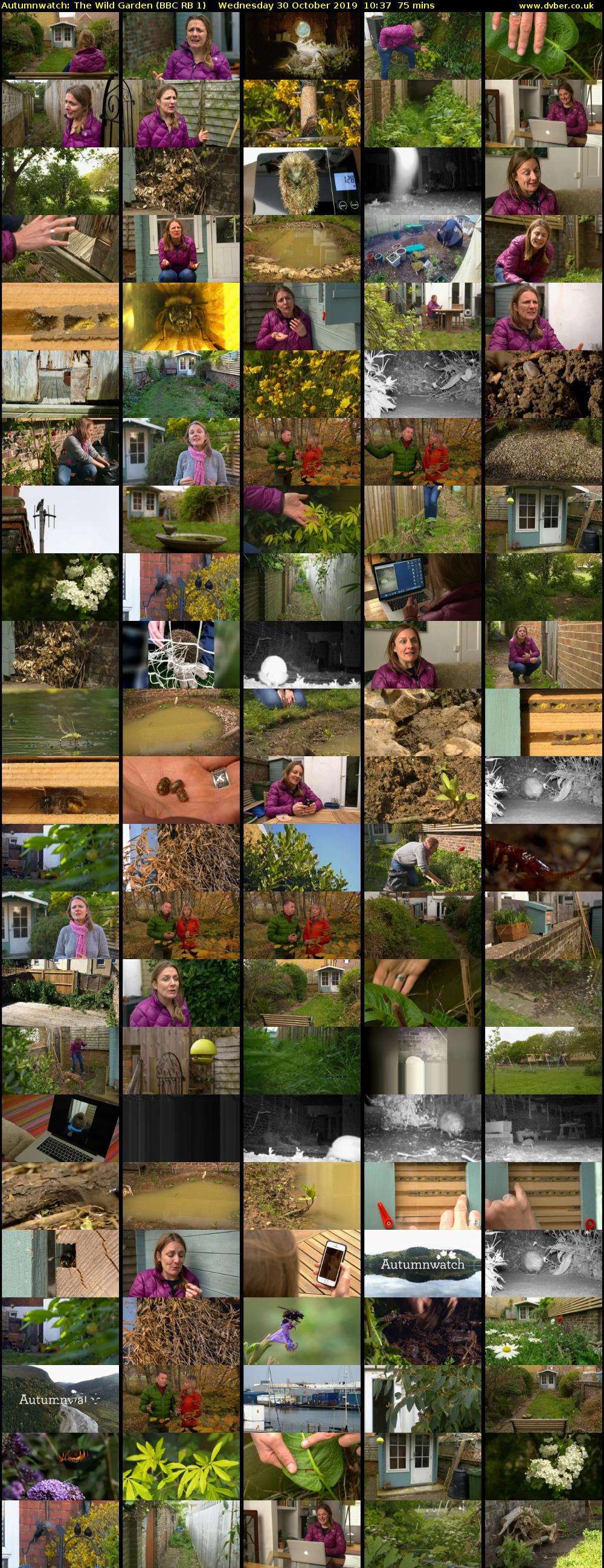 Autumnwatch: The Wild Garden (BBC RB 1) Wednesday 30 October 2019 10:37 - 11:52