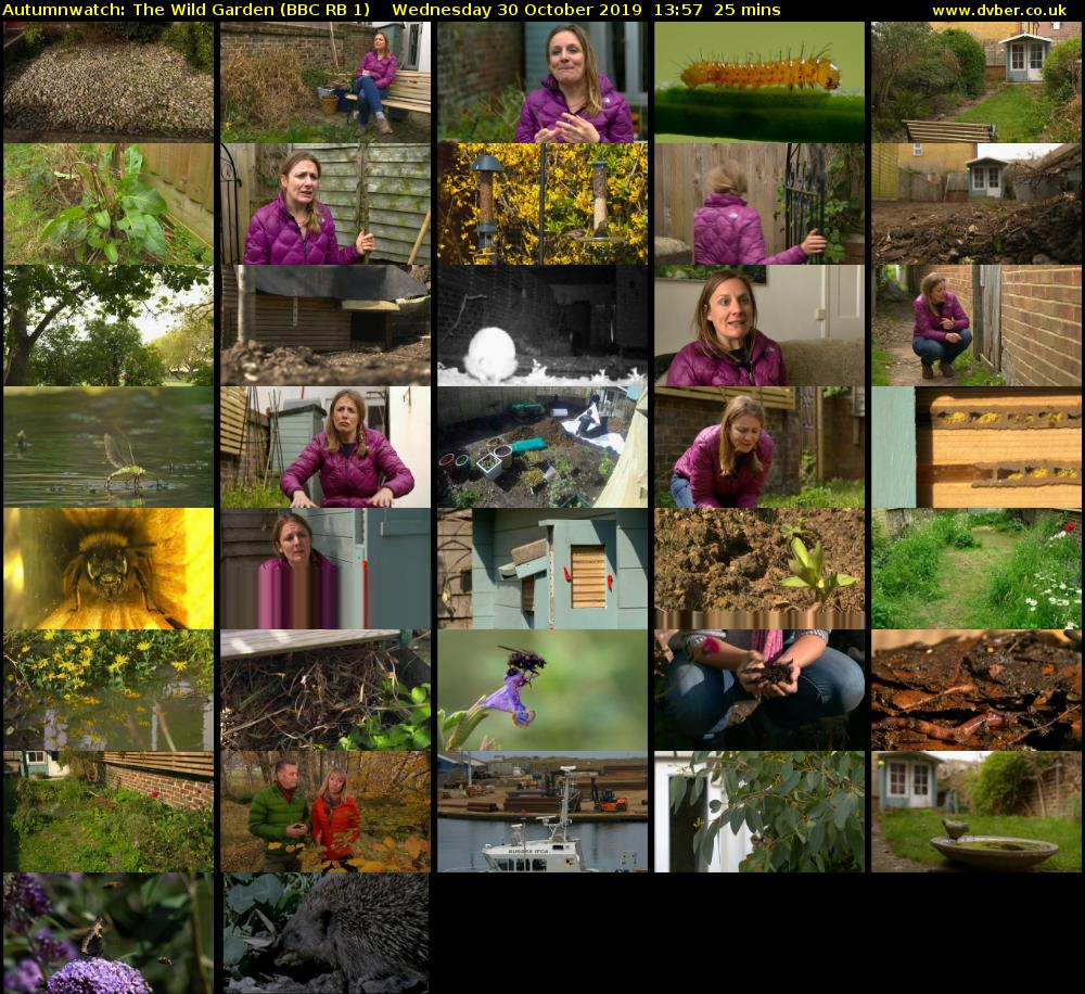 Autumnwatch: The Wild Garden (BBC RB 1) Wednesday 30 October 2019 13:57 - 14:22