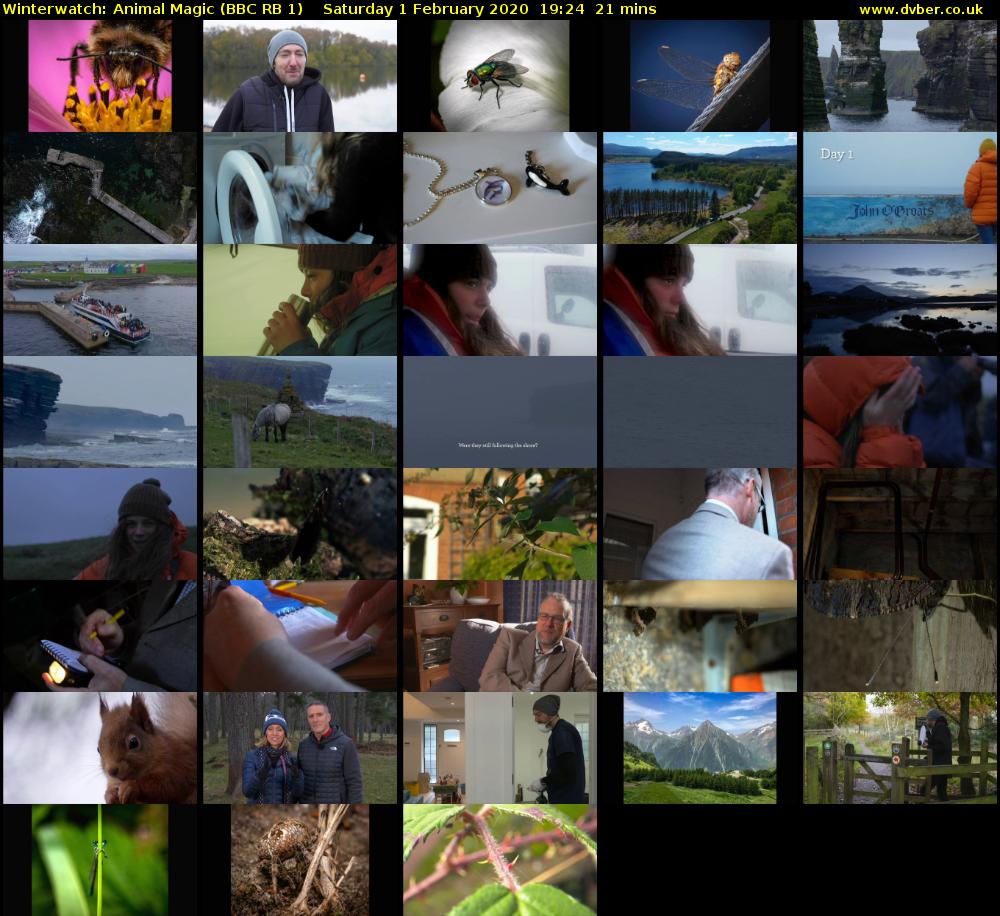 Winterwatch: Animal Magic (BBC RB 1) Saturday 1 February 2020 19:24 - 19:45
