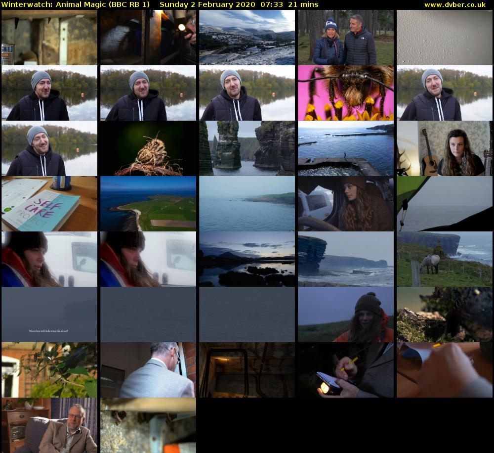 Winterwatch: Animal Magic (BBC RB 1) Sunday 2 February 2020 07:33 - 07:54