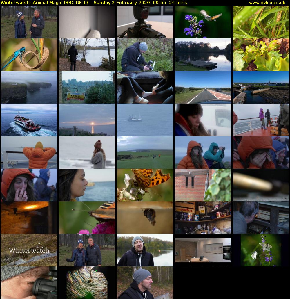 Winterwatch: Animal Magic (BBC RB 1) Sunday 2 February 2020 09:55 - 10:19