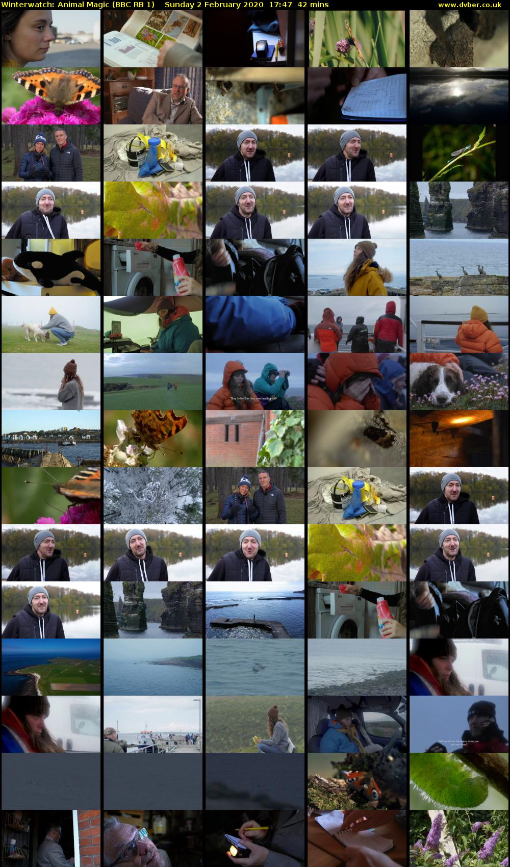 Winterwatch: Animal Magic (BBC RB 1) Sunday 2 February 2020 17:47 - 18:29