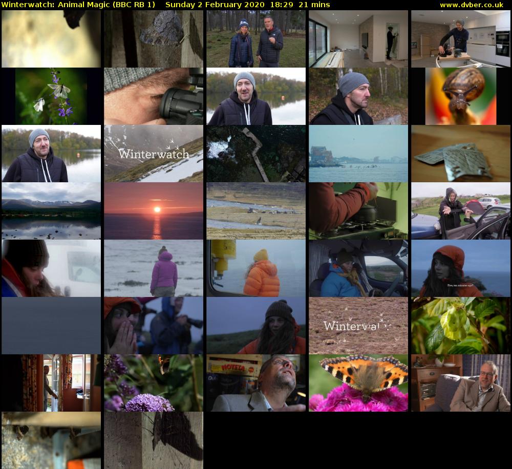 Winterwatch: Animal Magic (BBC RB 1) Sunday 2 February 2020 18:29 - 18:50