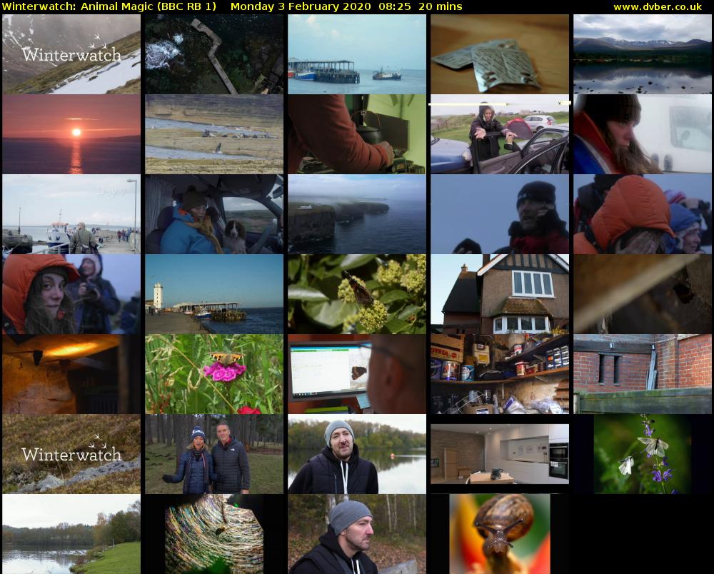 Winterwatch: Animal Magic (BBC RB 1) Monday 3 February 2020 08:25 - 08:45