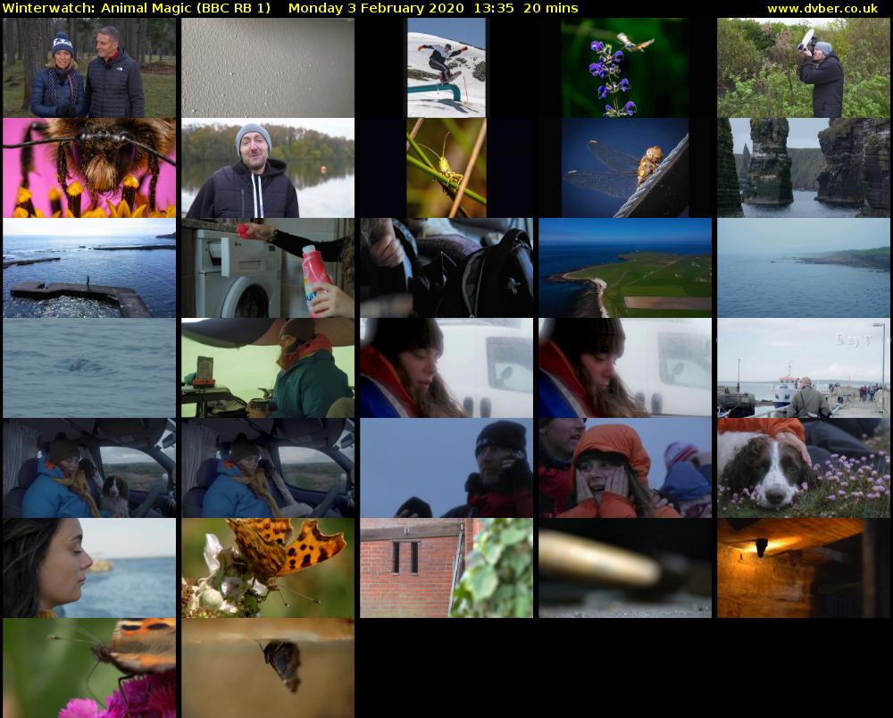 Winterwatch: Animal Magic (BBC RB 1) Monday 3 February 2020 13:35 - 13:55