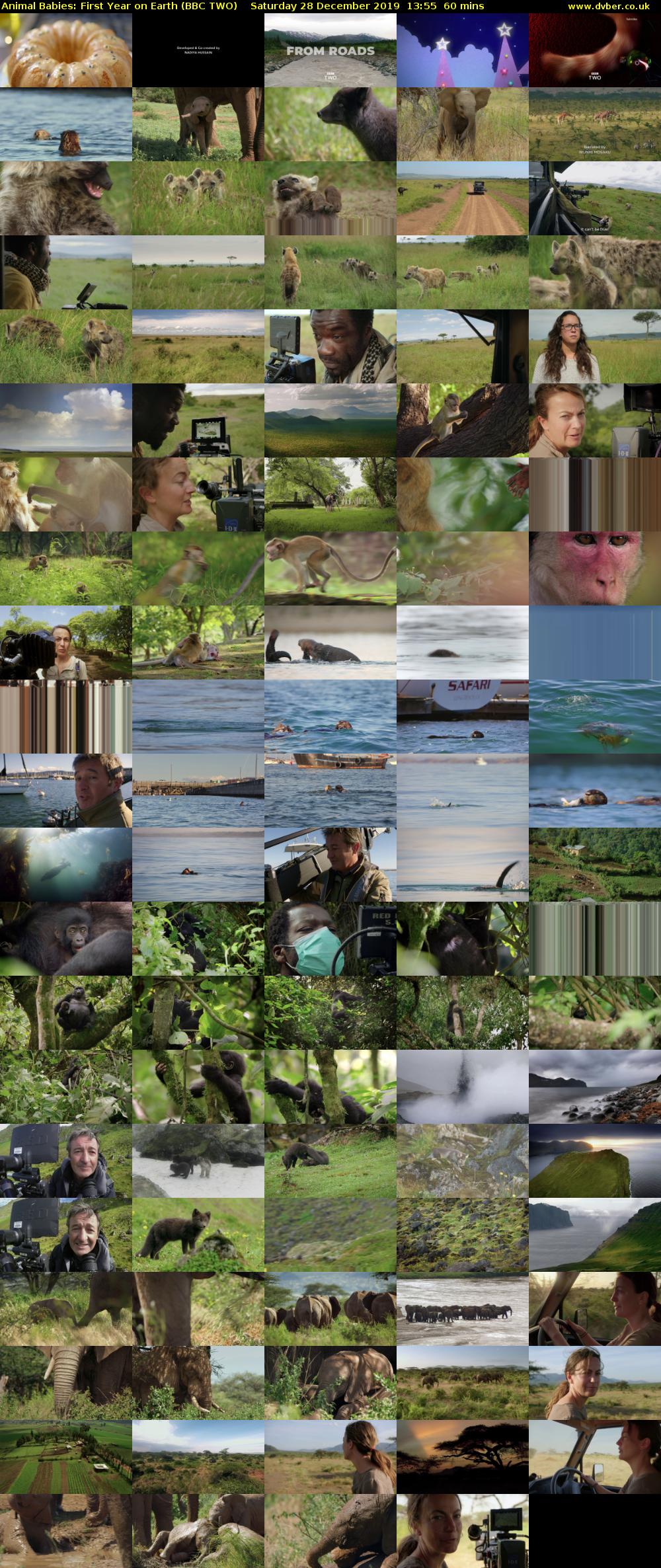 Animal Babies: First Year on Earth (BBC TWO) Saturday 28 December 2019 13:55 - 14:55