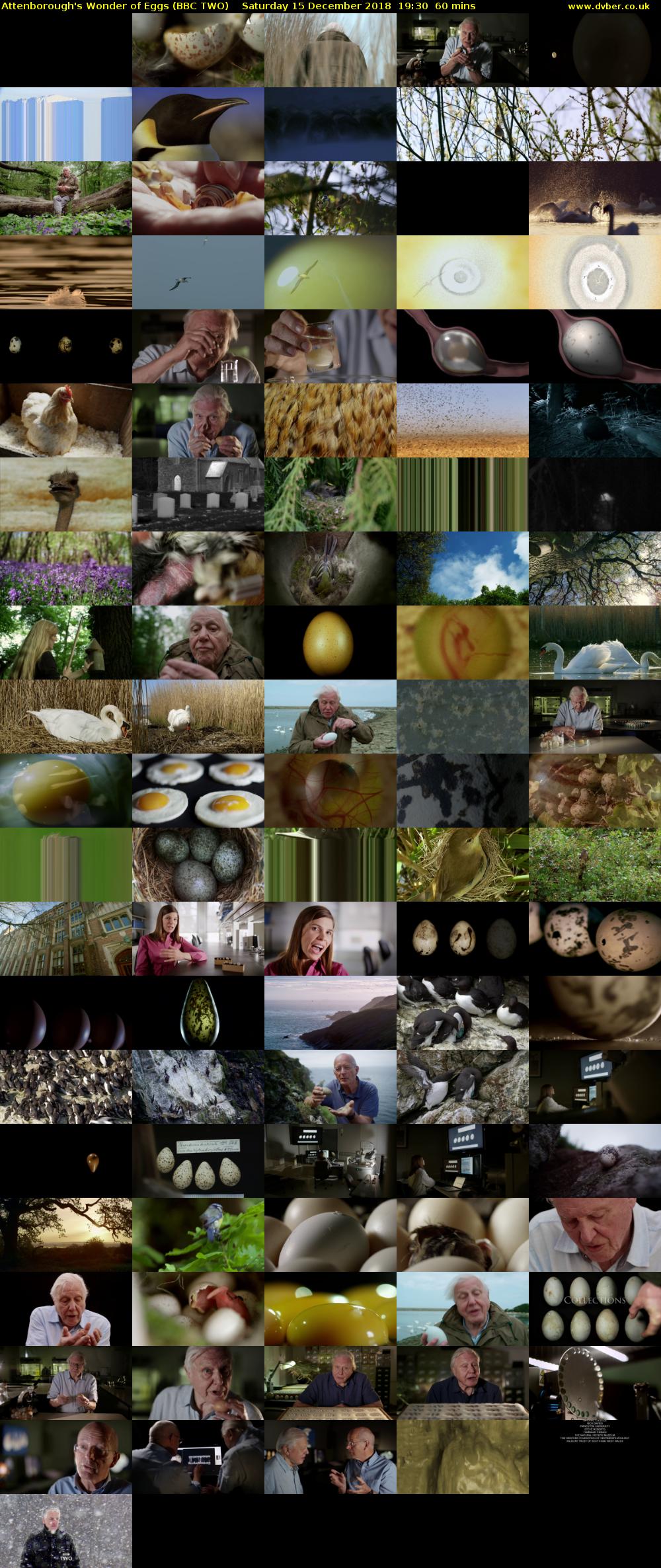 Attenborough's Wonder of Eggs (BBC TWO) Saturday 15 December 2018 19:30 - 20:30