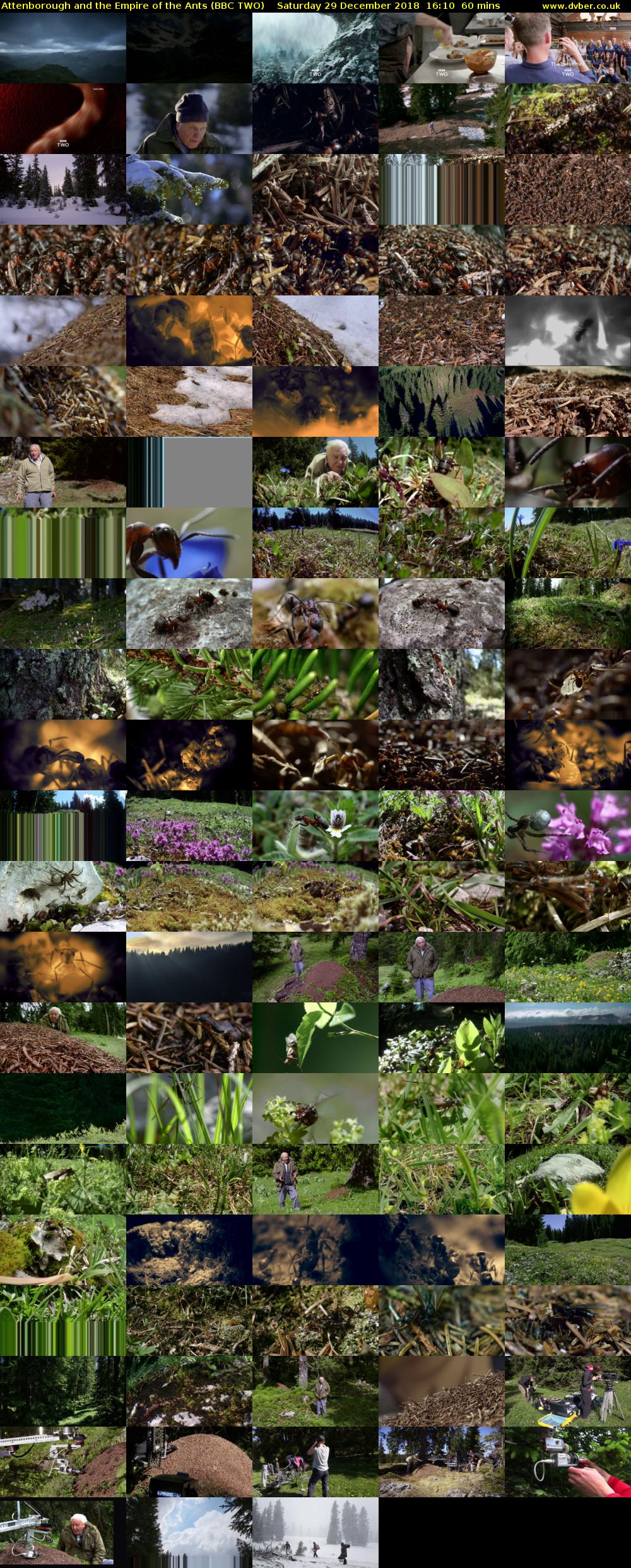 Attenborough and the Empire of the Ants (BBC TWO) Saturday 29 December 2018 16:10 - 17:10