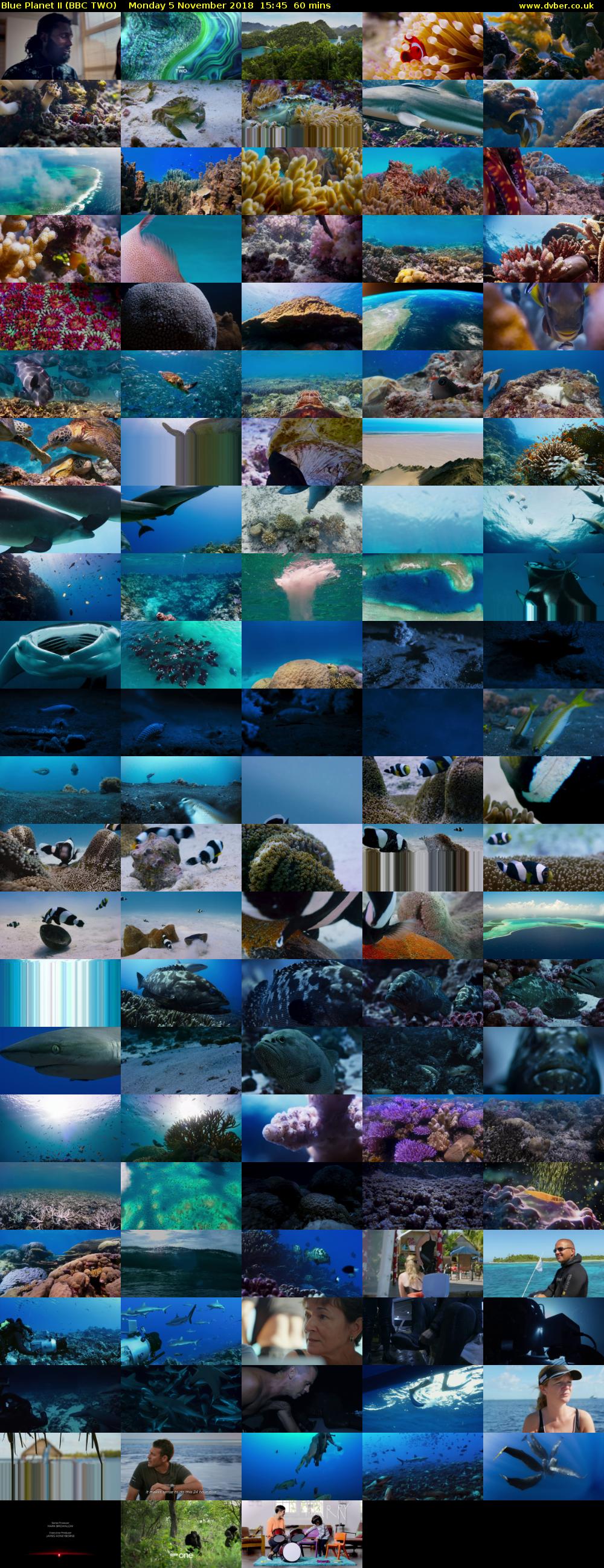 Blue Planet II (BBC TWO) Monday 5 November 2018 15:45 - 16:45