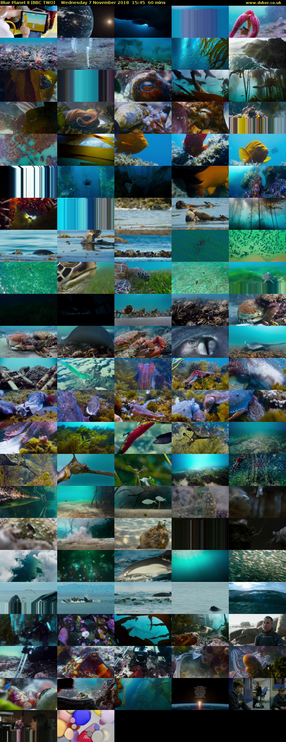 Blue Planet II (BBC TWO) Wednesday 7 November 2018 15:45 - 16:45