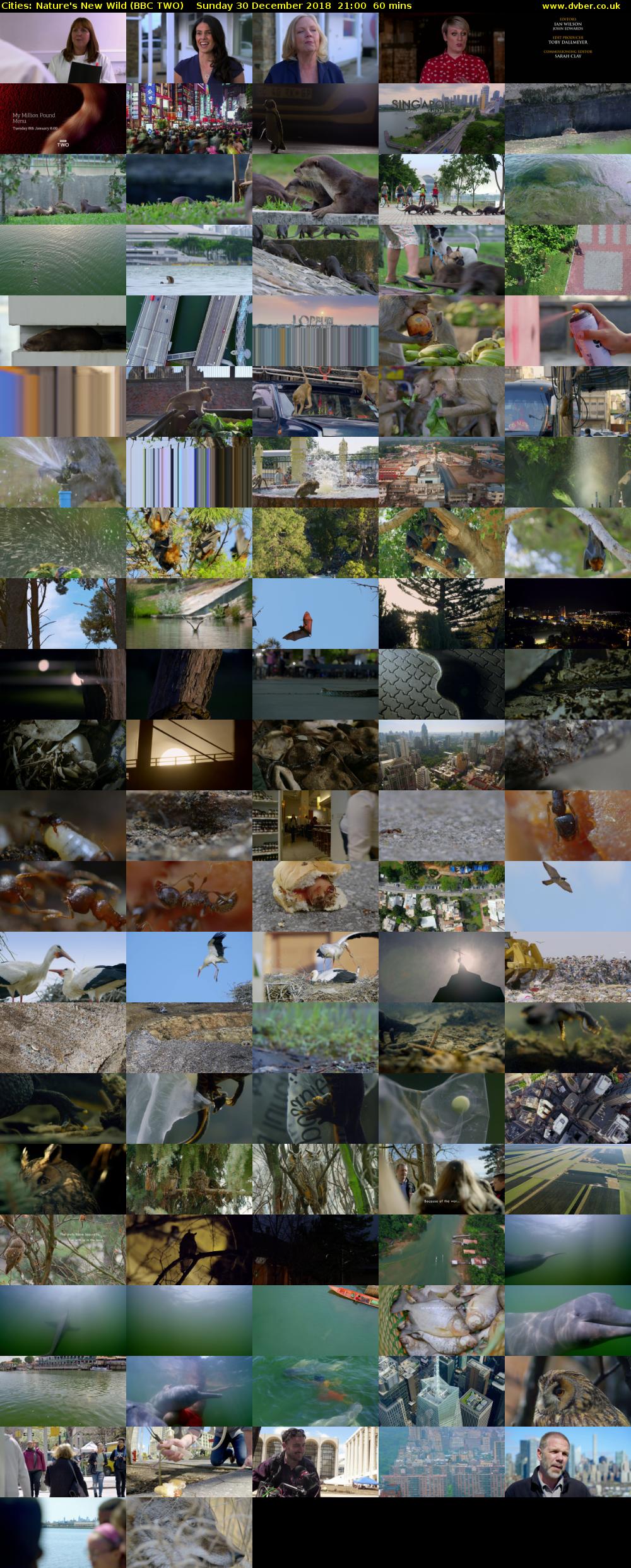 Cities: Nature's New Wild (BBC TWO) Sunday 30 December 2018 21:00 - 22:00