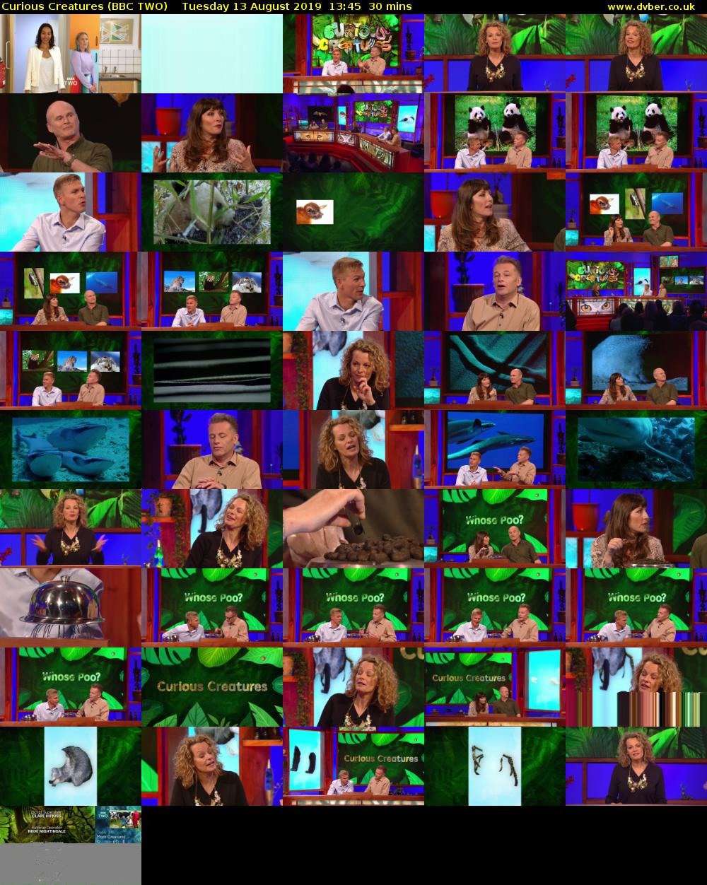 Curious Creatures (BBC TWO) Tuesday 13 August 2019 13:45 - 14:15