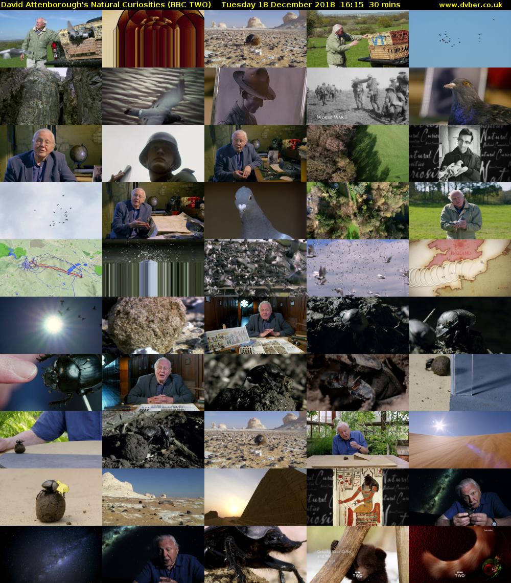 David Attenborough's Natural Curiosities (BBC TWO) Tuesday 18 December 2018 16:15 - 16:45