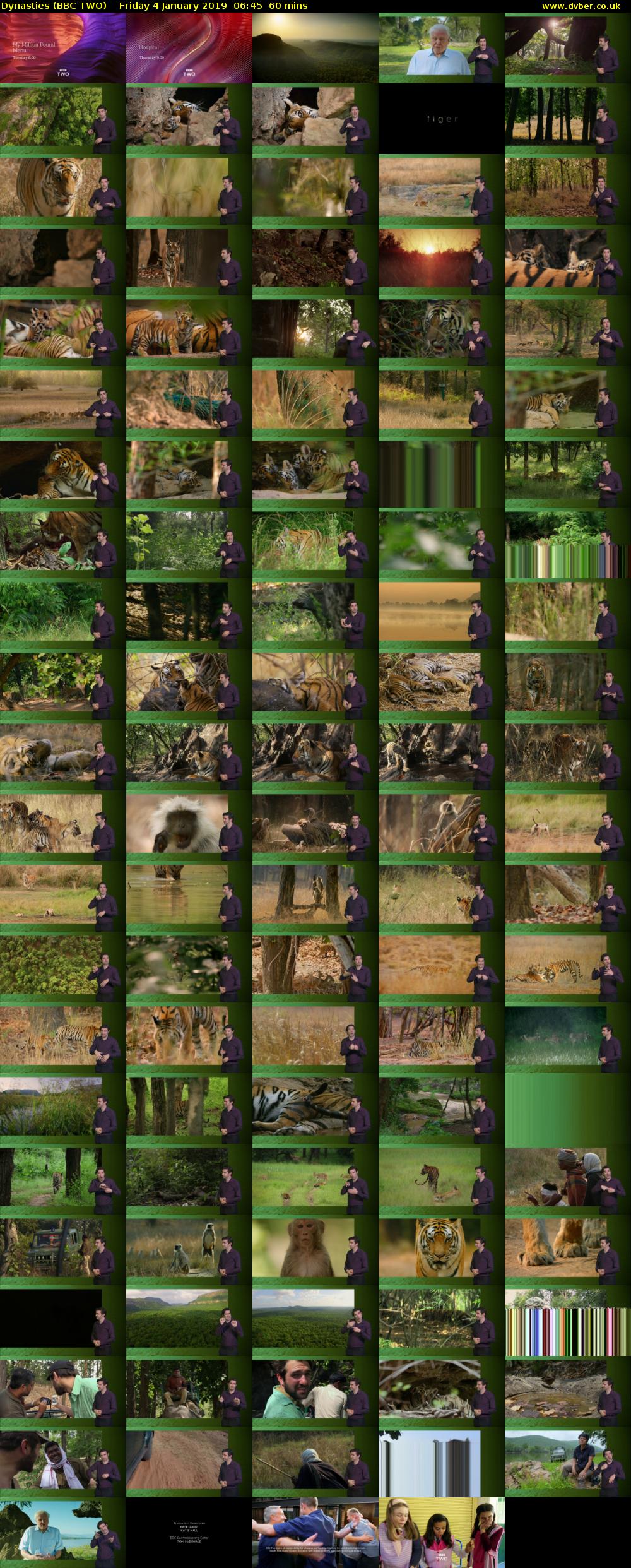 Dynasties (BBC TWO) Friday 4 January 2019 06:45 - 07:45