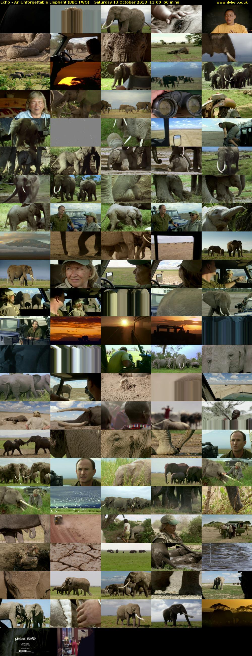 Echo - An Unforgettable Elephant (BBC TWO) Saturday 13 October 2018 11:00 - 12:00