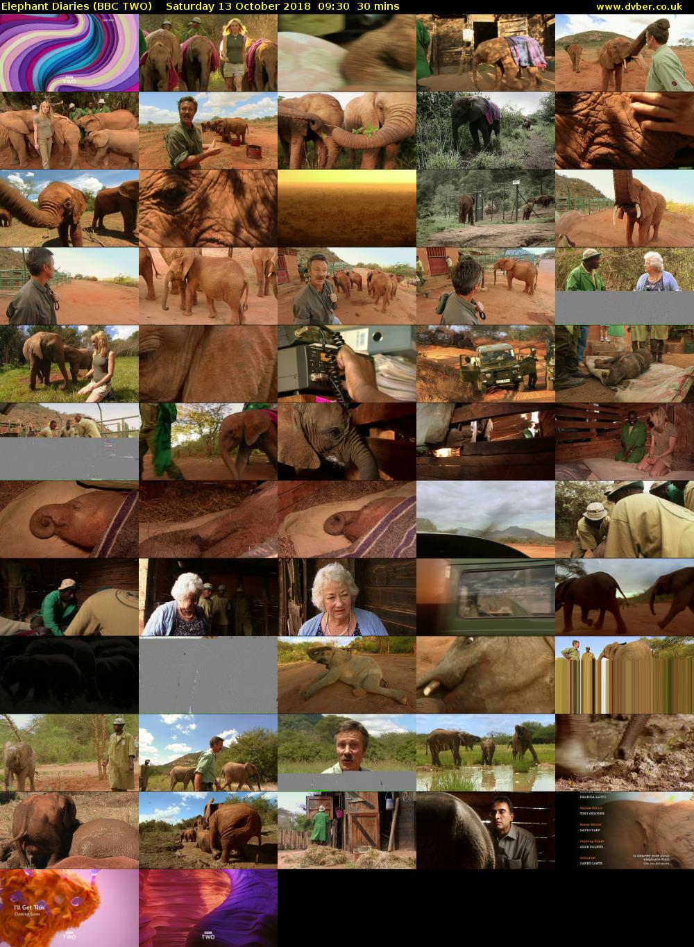 Elephant Diaries (BBC TWO) Saturday 13 October 2018 09:30 - 10:00
