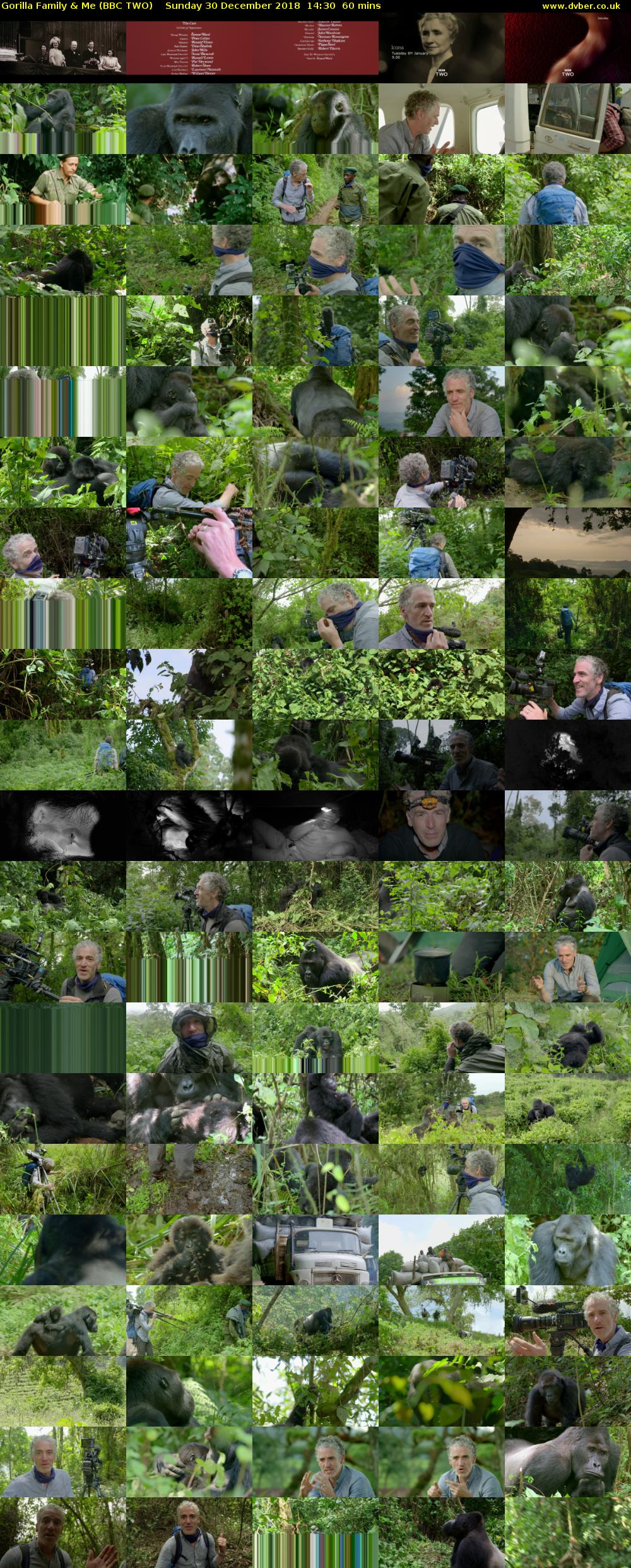 Gorilla Family & Me (BBC TWO) Sunday 30 December 2018 14:30 - 15:30